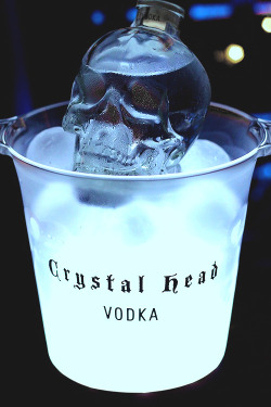 Crystal Head Vodka 