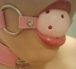 chastecumdump:  I have the same pink bondage gear, with the same gag and collar! Love it!! Just wish I had those pretty cock sucking lips of hers too…