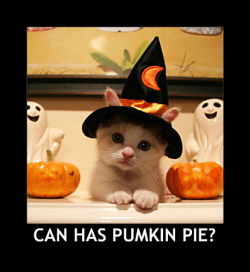 gothdolly666:  caterville:  let the halloween