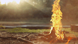 taylormademadman:  Prevent Forest Fires ,Extinguish well before leaving your campsites