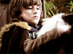 sansalayned-deactivated20141117:  Gif meme » lecterlannister asked: Direwolves and their owners + 18 (touch me) 