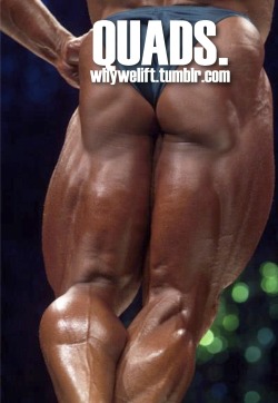 whywelift:  QUADS.whywelift.tumblr.com 