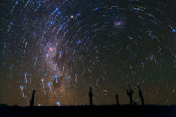 Distant-Traveller:  Star Trails Over Atacama Desert Cacti  This Gorgeous Photograph,