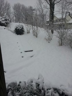 nerdgeekgamerdork:   All of this right here has killed my day.   I want a snow day!!! No snow, here :/ May I come up??? 