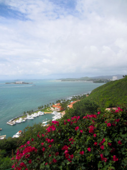breathtakingdestinations:  Palamino Island - Puerto Rico (von ashleymdeason)
