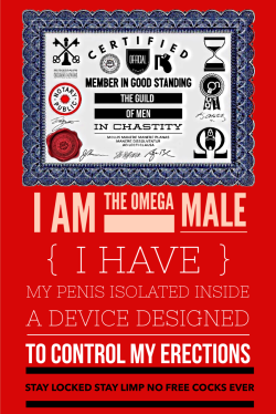 This is The Guild of Men in Chastity