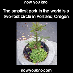 cheshireskitt3n:  lavaporeon:  wangs-of-freedom:  nowyoukno:  More Facts.  Of course it is.  ALL BITCHES THIS IS MY HOME TOWN TAKE A FUCKING SEAT WHILE I TELL YOU THIS STORY. GET A BOWL OF POPCORN BECAUSE THIS SHIT IS DOPEIN THE 1940’S PORTLAND WAS