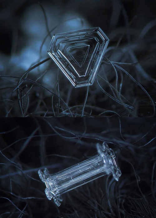 fearlesslove13:  iraffiruse:  Homemade camera rig takes stunning close-up pictures of snowflakes  how are snowflakes even real 