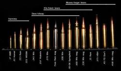 gunrunnerhell:  Caliber Selection I believe shot placement plays a large role in the effectiveness of any caliber when hunting but at the same time size does matter, especially when you maintain a humane kill/harvest. (GRH)