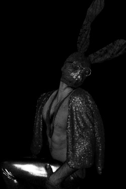 HARE DON&rsquo;T CARE - ALEXANDER GUERRA 2013