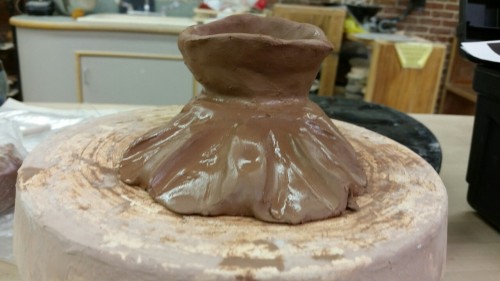 Pug clay Gross anatomy project in clay