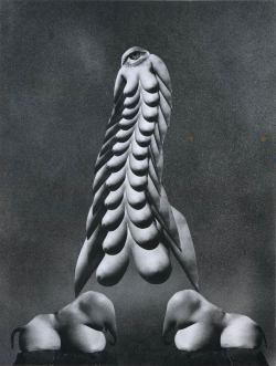 Allen A. Dutton - Surrealist Photomontage #6 “Bestriding Two Pecdelts”