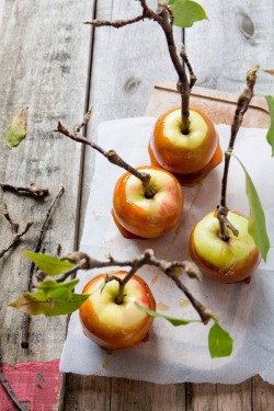 thecakebar:  Bonfire toffee apples  OMG NOMS!