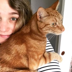 When your cat settles on your shoulder and you know you&rsquo;re just stuck standing in the kitchen for a while cause he&rsquo;s comfy.   #Issac #kitty #gingercat #kitty #snugglemuffin #catsofinstagram #nomakeup #mornings #morningswithcats