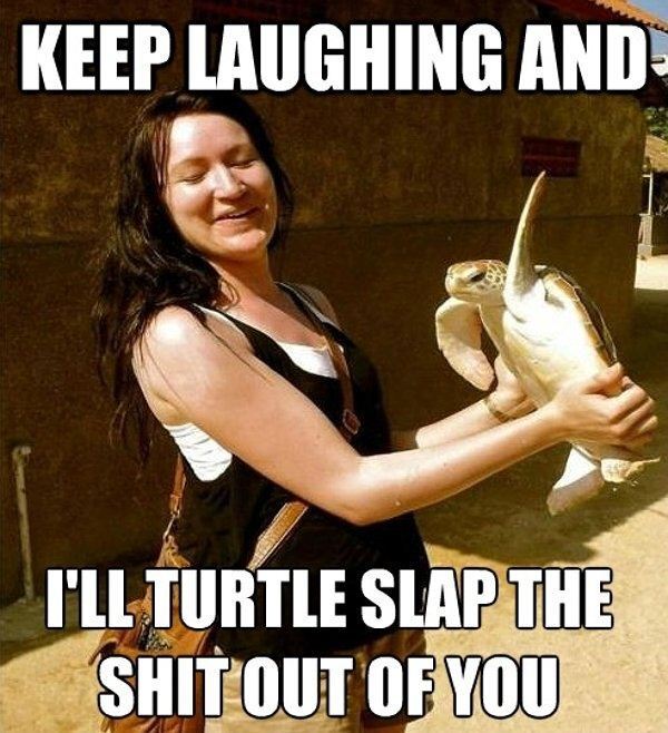 Is it wrong that I wanna be turtle slapped&hellip; also&hellip; ya I&rsquo;d