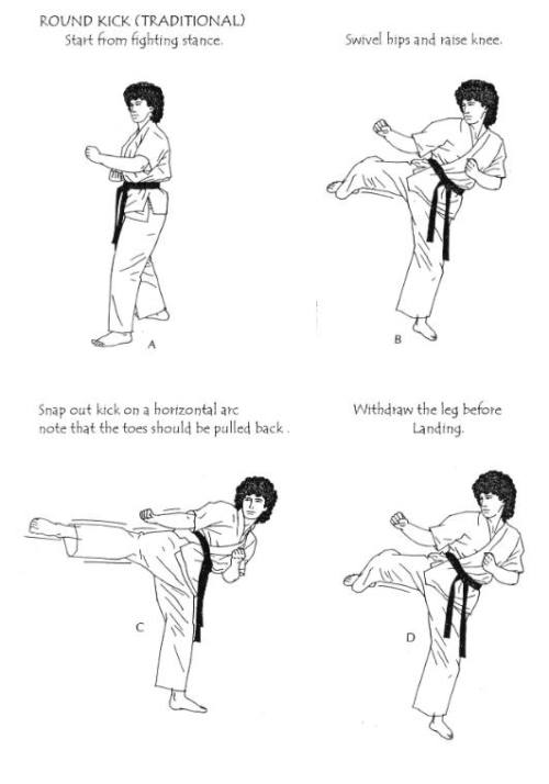 Porn Pics taichi-kungfu-online:kung fu kick