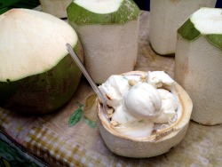 marigold-e-n:  thai coconut milk ice cream 