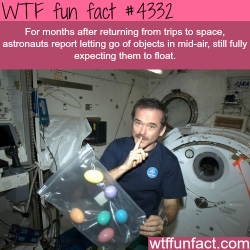 wtf-fun-factss:  Astronauts problems -  WTF fun facts
