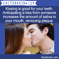 everyonethatdraggedyouhere:  factsbrain:  Kissing is good for your teeth. Anticipating a kiss from someone increases the amount of saliva in your mouth, removing plaque. - weird, interesting &amp; funny facts   SOMEONE!! QUICK!!! KISS ME LOTS!!!!