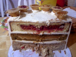 salt-221b-and-the-tardis:  gallifrey-feels:  annerisu:  My mom won this 25 lb diabetes monstrosity from a raffle at her work. That’s 3 layers of cake with a pie baked inside each, all slathered thickly with buttercream and topped with 12 mini pies.