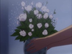 Sora, Leon &amp; the flowers part 1
