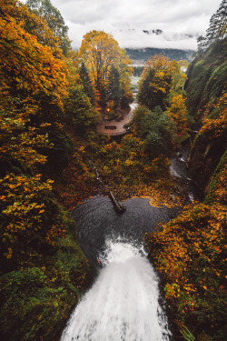 brianstowell:  Autumn &amp; Winter at Multnomah Falls, Oregon. A top down view Instagram / Flickr / Lost Lust Supply 
