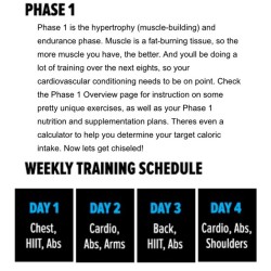 Let the gains begin. Starting the @rspnutrition chiseled 8 week body challenge today. Not only do they give you complete workouts but also a calorie calculator to find out your macros. I get a lot of questions on routines. So this should help yall out.