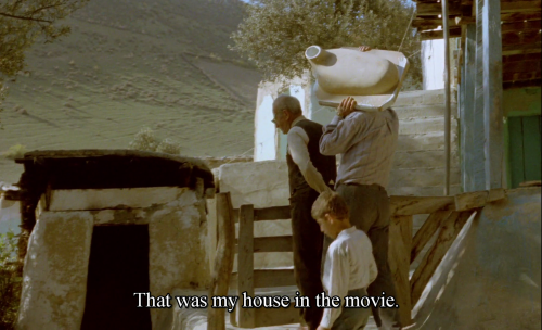 365filmsbyauroranocte:  And Life Goes On… (Abbas Kiarostami, 1992)  