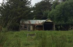 abandonedandurbex:  Decaying house near Little River, Banks Peninsula, New Zealand  Source: https://imgur.com/A0PVsAY 