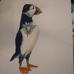 I painted him today   #painting #puffin #shourouk #watercolour #me #art #work