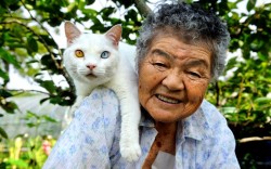 catsbeaversandducks:  thecatdogblog:  Nine years ago, Japanese photographer Miyoko Ihara began snapping pictures of the relationship between her grandmother and her odd-eyed white cat. Miyoko’s grandma Misao found the abandoned cat in a shed on her