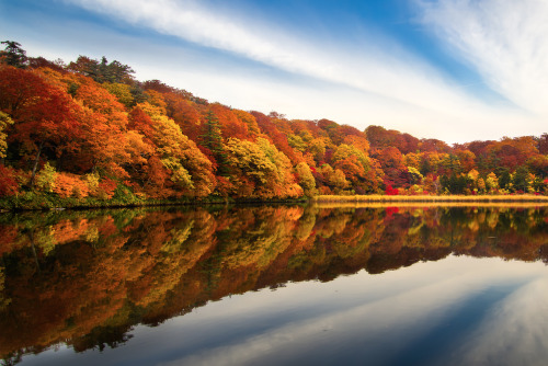 nubbsgalore:  autumn reflections by david adult photos