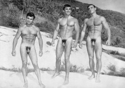 fuckyeahvintageguys:  Tons of Vintage Pics at Fuck Yeah Vintage Guys.Click Here to Follow Fuck Yeah Vintage Guys.  3 cock on a walk