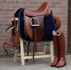 natshorses:  saddleporn:  ♥  I’m not one for brown tack, but I wouldn’t mind seeing Rocky in this.  If only only still rode English&hellip;