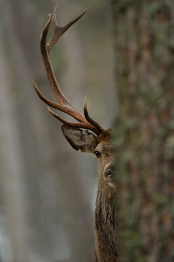 tect0nic:  Being watched…. by Edwin Kats