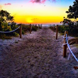 poplipps:  Such a #beautiful way to wake up…last days in #Miami dreading the #polarvortex (at W South Beach)  I love South Beach :)