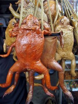 Frog Purse, a philippine souvenir