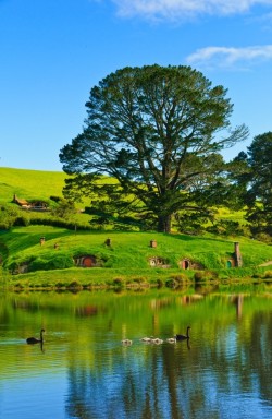 omgshowmetheworld:   ✯ Hobbiton in New Zealand – Place of Hobbit Houses   