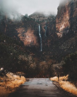 rustic-bones:  Was hoping for a sunny day at Zion but thought the fog was pretty neat too 👀 (at Zion National Park)