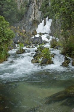 earth-song:  Tarawera Falls, Kawerau, New