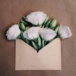 culturenlifestyle: Flower Bouquets in Vintage Envelopes Kiev-based artist Anna Remarchuk showcases stunning images of her flower bouquets inserted in envelopes on her Instagram account. Remarchuk delicately styles lush flowers into vintage envelopes,