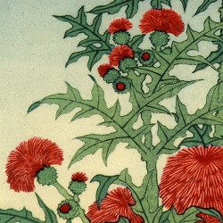 shiestleo:  Katsushika Hokusai (1760 - 1849), Flowers. 