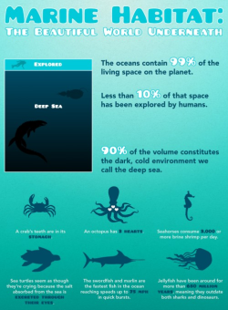 underthevastblueseas:  Infographic by ReuseThisBag