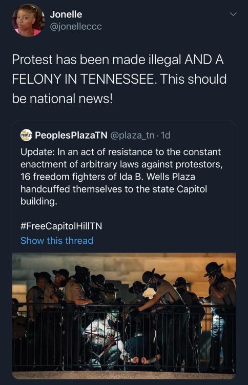 twitblr:Protesting is a FELONY in Tennessee now…Facism at it’s finest (x)