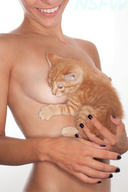 One of many adorable months in this year&rsquo;s Kitties &amp; Titties 2014 calendar.   Order yours today! Also, have you seen our commercial we made? It may be the best 60 seconds of your week. 
