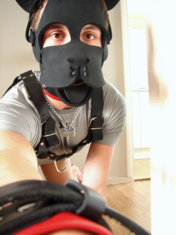 gayboykink:  *woooof* Here are some tips on camerawhoring for puppies: Do not forget to set the timer on your camera, or you’ll make tons of awkward close-up selfies. XD Some might turn out okay though.  No matter how happy you are to show off in front