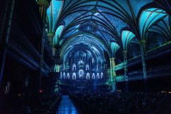 captainoftheseaqueen: thedesigndome:  19th Century Church Renovated With 21st Century Technology Moment Factory, multimedia studio based in Canada, has transformed  Montreal’s Notre-Dame Basilica Church into an immersive installation, complete with