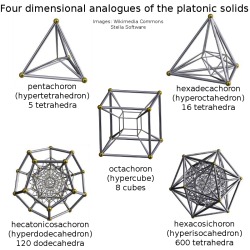 fathom-the-universe:  4D analogues of the platonic solidsIn 3 dimensions, we know the platonic solids as the Tetrahedron, the Octahedron, the Cube (or hexahedron), the Isocahedron and the Dodecahedron. The suffix -hedron refers to a 3D object called a