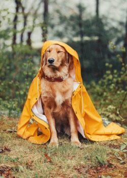 Raincoat for the best mate. 
