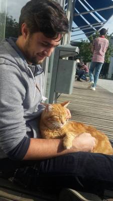 heckyescats:  catsbeaversandducks:     Cat Comes to University Every Day So She Can Rescue Students with Cuddles For years, the University of Augsburg in Bavaria, southern Germany, has played host to a very special visitor: a little ginger cat whose only